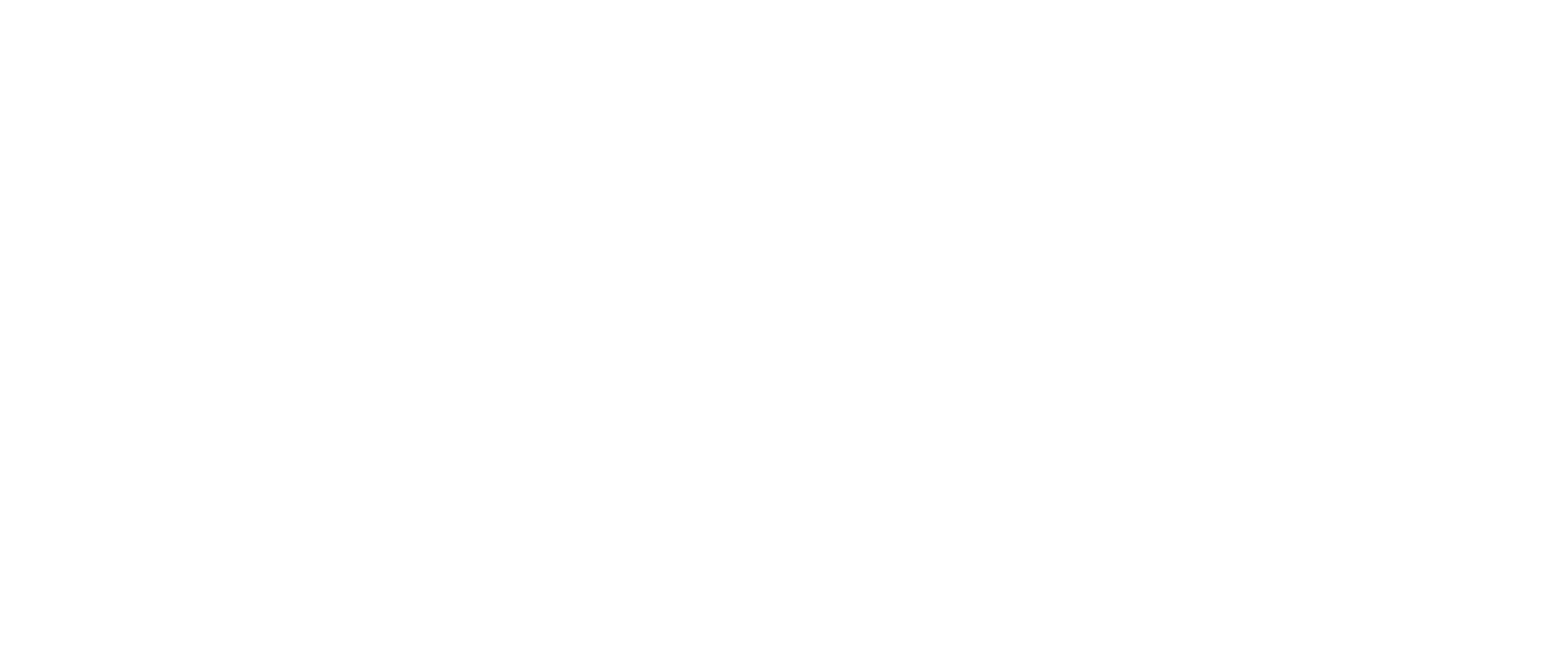 Diane G - Logo Blanc